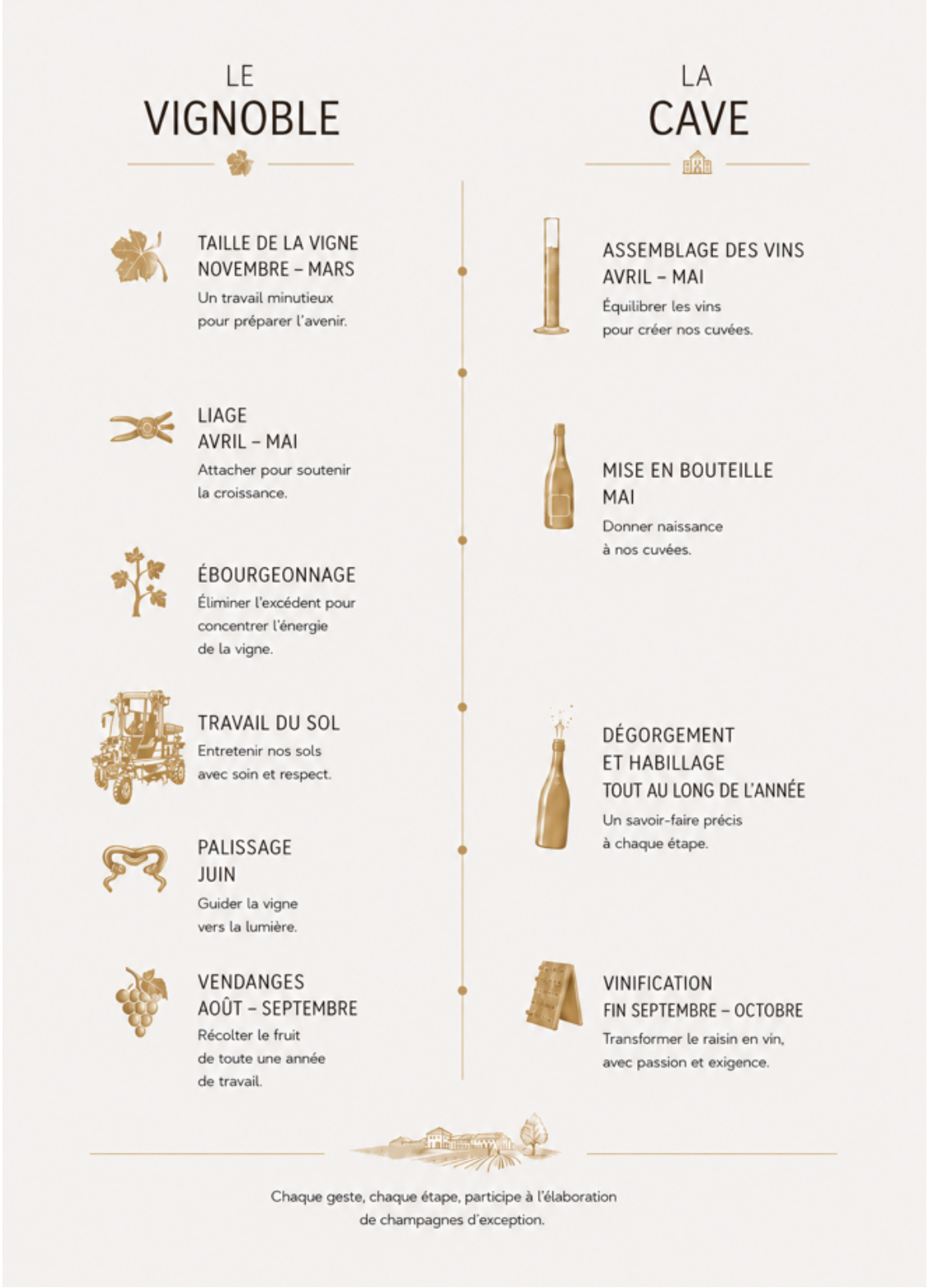 The stages of vineyard and cellar work at Champagne Treuffet
